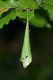 IMG_3898 - Copia.JPG