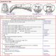 CTENOPELMATINAE - EURYPROCTINI - Clé + Images - Image  FAIT.jpg