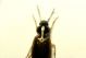 DSC05797.jpg