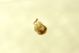 DSC05905.jpg