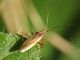 DSCF4671.JPG