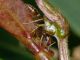 P1340465_.JPG
