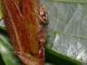 P1340479_.JPG