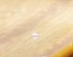 IMG-20141213-WA0009.jpg