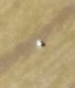 IMG-20141213-WA0007.jpg