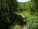 aethiops al 100% 10-08-2012 Cadine q.600.jpg