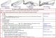 MICROLEPTINAE - Clé + Images - Image.jpg