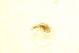 DSC06188.jpg