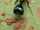 P1360462_.JPG
