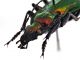 Comb1530ssr_25zL5cr.jpg