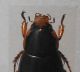 DSCF1313.JPG