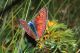 2010_07_17__008.JPG