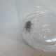 IMG-20150106-WA0001-1.jpg