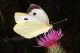 2010_08_01__063.JPG