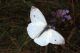 2010_08_13__007.JPG