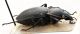 Comb1603_38zF5cr.jpg