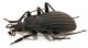 Comb1593_37zF5cr.jpg