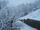 Neve 06-02-2015.jpg
