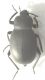 image2.jpg