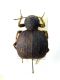 DSCN4820.jpg