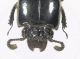 DSCF1461.JPG