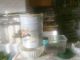 29032010231.jpg
