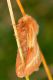 IMG_3076 copia 2.JPG
