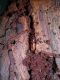 DSCN9080.jpg