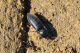 DSC_5813.jpg
