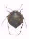 DSCF151777.jpg