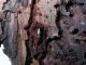 DSCN9067.jpg