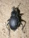 DSCN9188.jpg