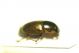 DSC07431.jpg