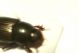 DSC07455.jpg