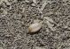 DSCN5465.JPG
