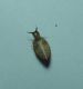 DSCN5471.JPG