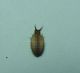 DSCN5473.JPG