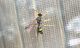 CI 26_03_2015 21_21_34.jpg