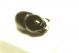 DSC07486.jpg