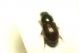 DSC07507.jpg