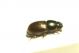DSC07506.jpg