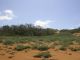 DSCN9397.jpg