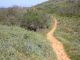 DSCN9398.jpg