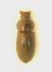 DSCN9453.JPG