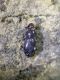 DSCN9380.JPG