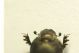 DSC07736.jpg