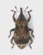 DSCN9571.JPG