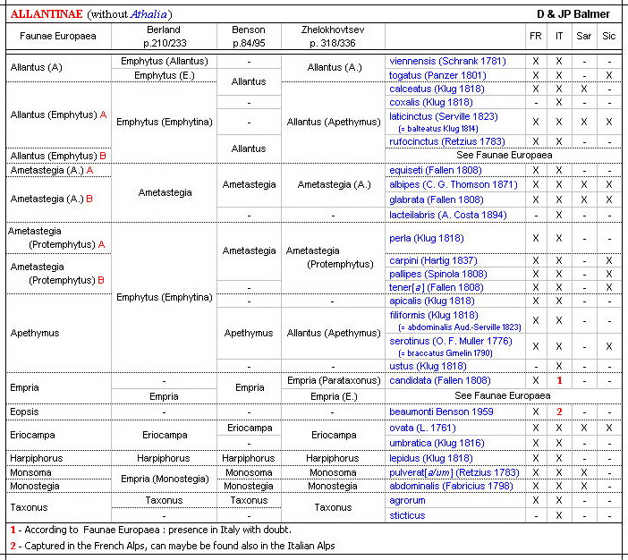 ALLANTINAE - Forum - Liste des espèces - Image.jpg