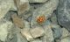 CI 15_04_2015 00_37_01.jpg