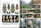 Platycerus dundai Copyright 2010 Roppon-Ashi Entomological Books.jpg